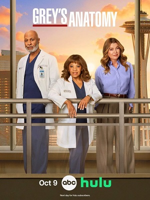 Анатомия страсти Grey s Anatomy - 22 Сезон 17 серия